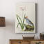Oiseau dans un habitat II - galerie Cavas sur mesure-1955132974