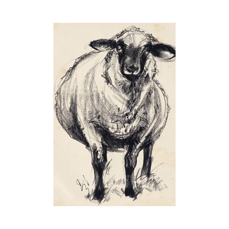 Charcoal Sheep II by Jennifer Paxton Parker - Wrapped Canvas Painting, 20.32 cm H x 30.48 cm W
