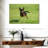 Brampt Sprinting Chihuahua-108736862