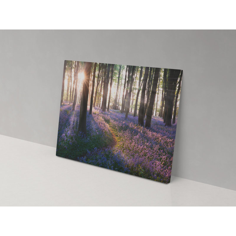 Bluebell Wonders - Wrapped Canvas Print, 102cm H x 153cm W x 4cm D