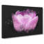 Lilac Pink Tulip Flower - Wrapped Canvas-56642198