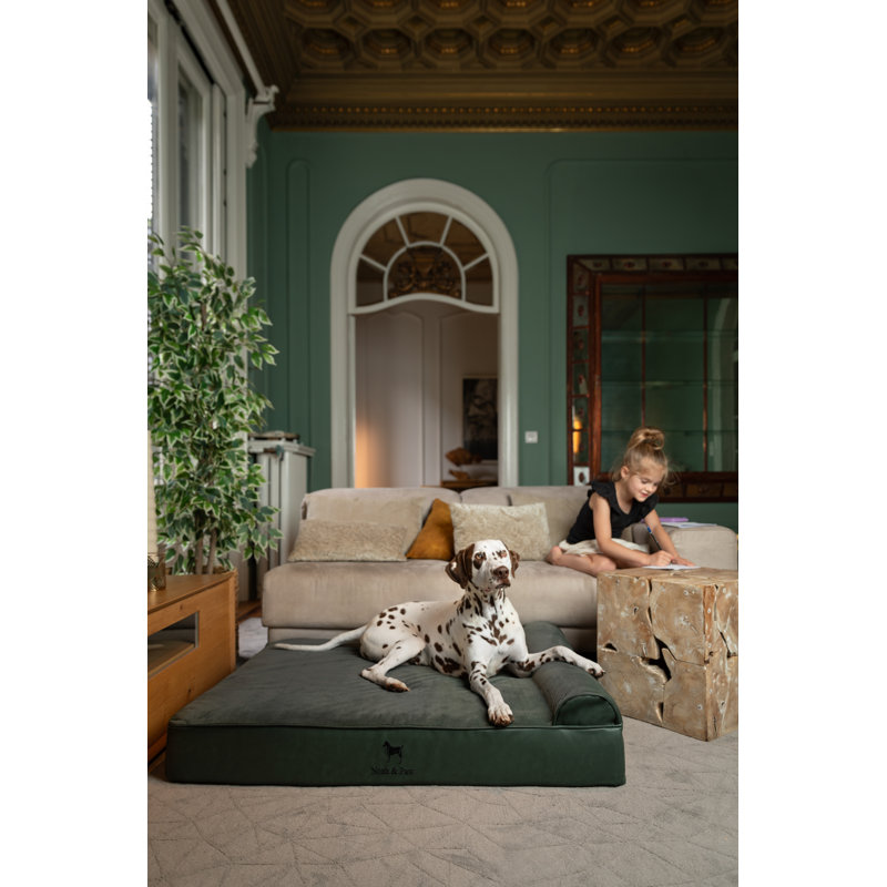  Lit orthopédique pour chien géant XXL, mousse viscoélastique infusée de gel rafraîchissant, imperméable, lavable à la machine, avec housse intérieure (similicuir)