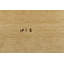 Tapis oriental Lori Gabbeh-1202603307