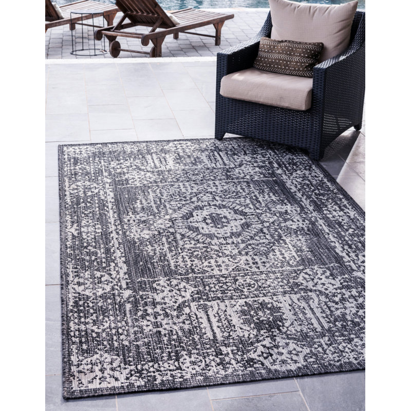 Tapis intérieur / extérieur gris anthracite Cowart, Rectangle 4 pi 1 po x 6 pi 1 po