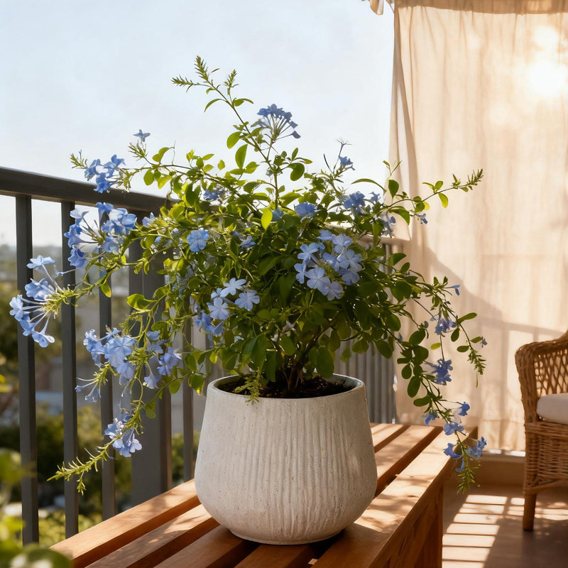 Pot à fleurs moderne avec minimaliste Mgo