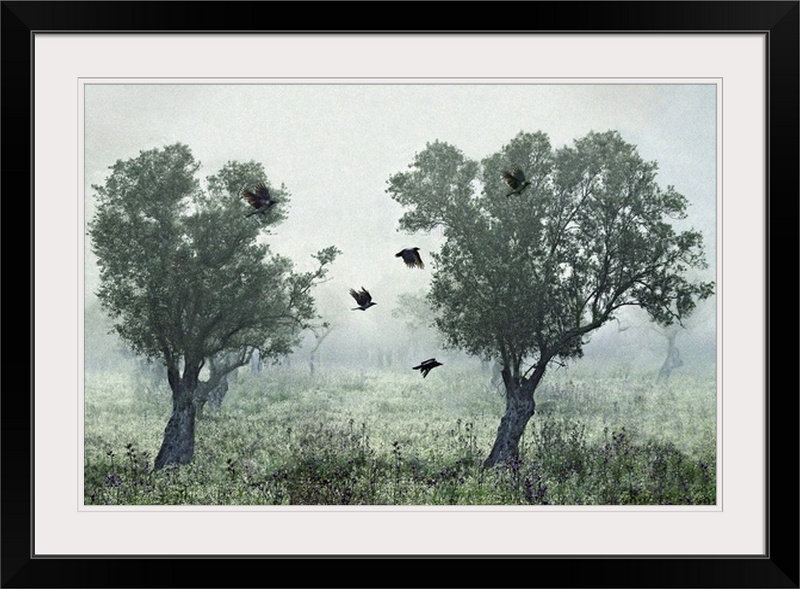 Reproduction de photo de Straub «Crows in the Mist» par S. Amer, H 28 po x l 38 po x P 1 po, Cadre noir
