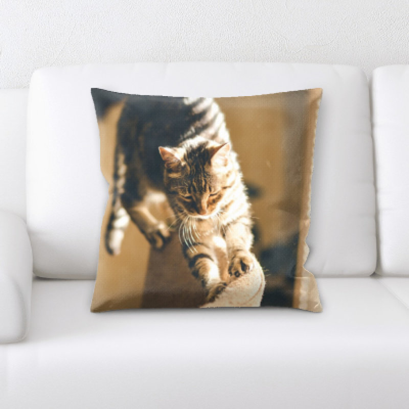 Coussin pour chat