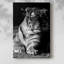 Tiger Repose - galerie Cavas-1940095601