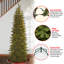 Slender Green Realistic Artificial Fir Christmas Tree with Incandescent Steady/Constant Lights-415901198