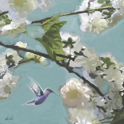 Colibris floraux II