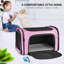 Chiens transportant des chats et des chiots-660813322-660813320
