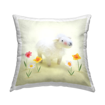 Throw Pillow