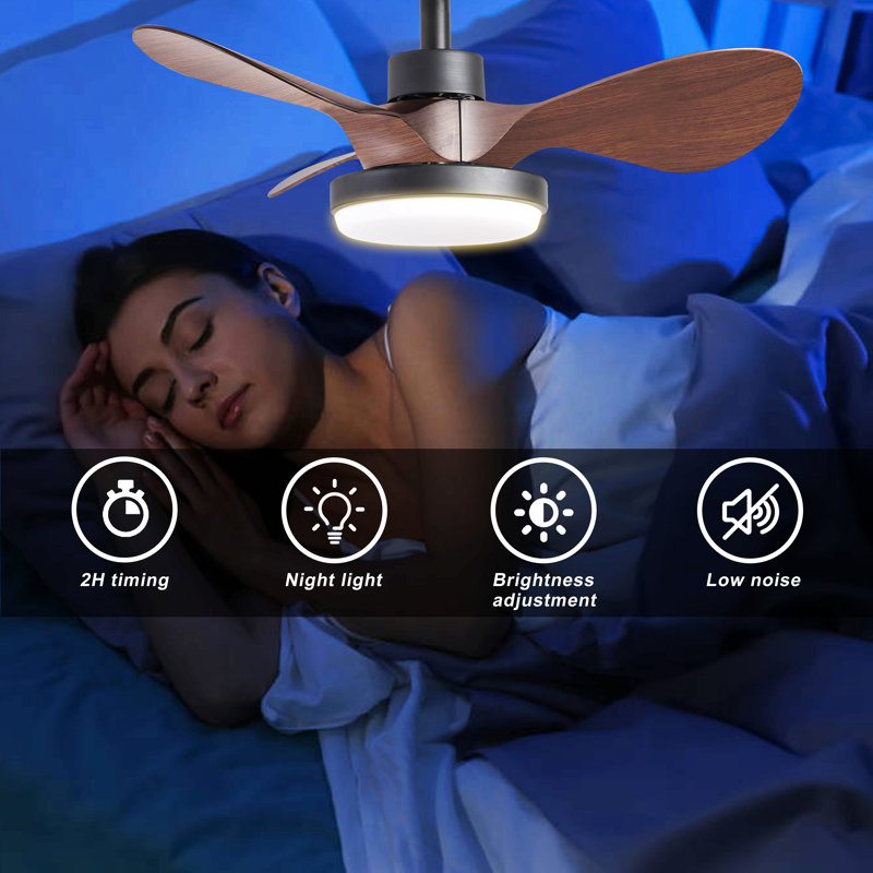 Petit ventilateur de plafond de 24 po avec télécommande légère, ventilateur de plafond moderne à profil bas, moteur CC réversible silencieux à 6 vitesses pour la chambre à coucher, cuisine