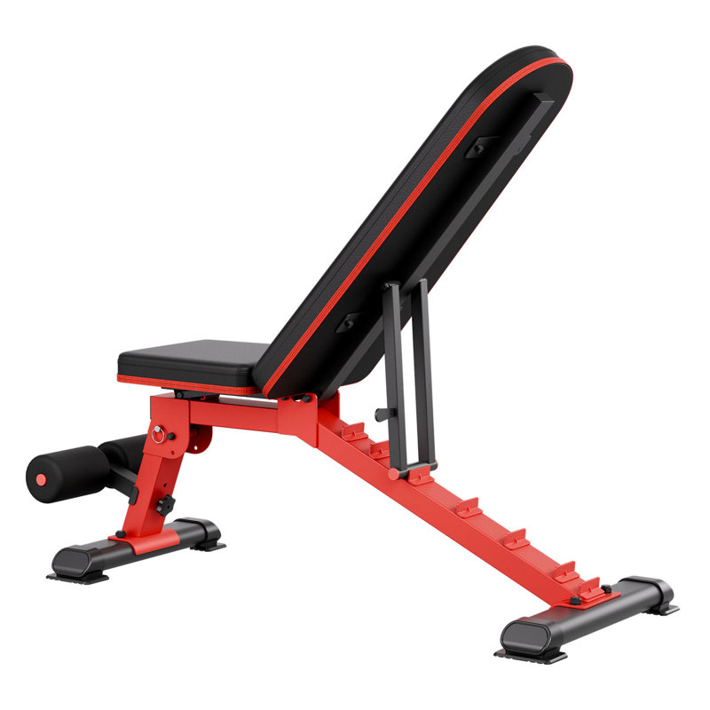 Banc de musculation Banc assis pour l'entraînement de musculation à domicile réglable et pliable