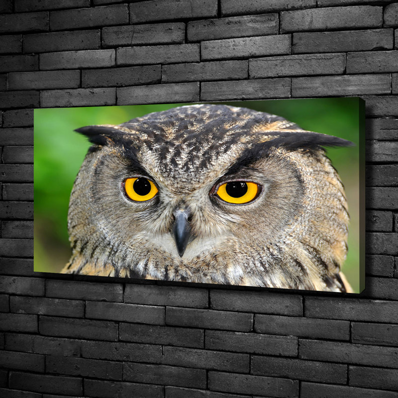 Owl - Wrapped Canvas Print