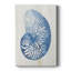 Coquille IV - Cavas enveloppés de galerie-197015567