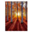 Wrapped Canvas Print-115744763