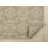 Daulton Area Rug-579347852