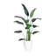 6' Bird of Paradise Tree with Fiberstone Planter-935719757