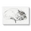 Sleeping Cat by Jean Bernard - Wrapped Canvas Drawing - Wrapped Canvas-55318094