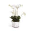 Barclay Butera Orchid In Ceramic Pot