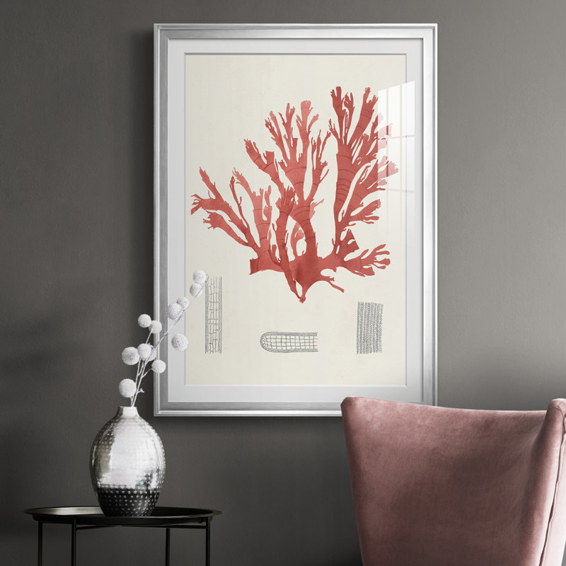 Étude de corail rétro IV - reproduction de cadre photo, Chrome, H 24,5 po x l 18,5 po x P 1 po