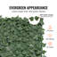 Plastic Border Fencing-612284961