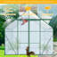 Serre en polycarbonate-112579956-112579955