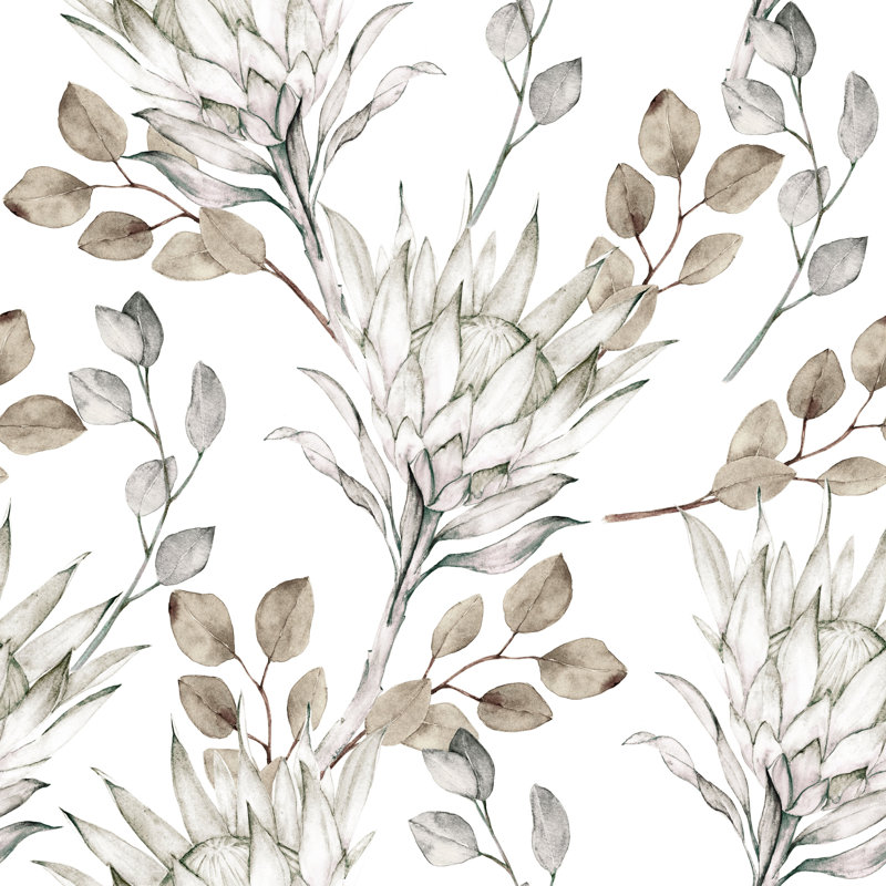 Rouleau de papier peint punxsutawney Protea, L 16,67 po x l 25 po