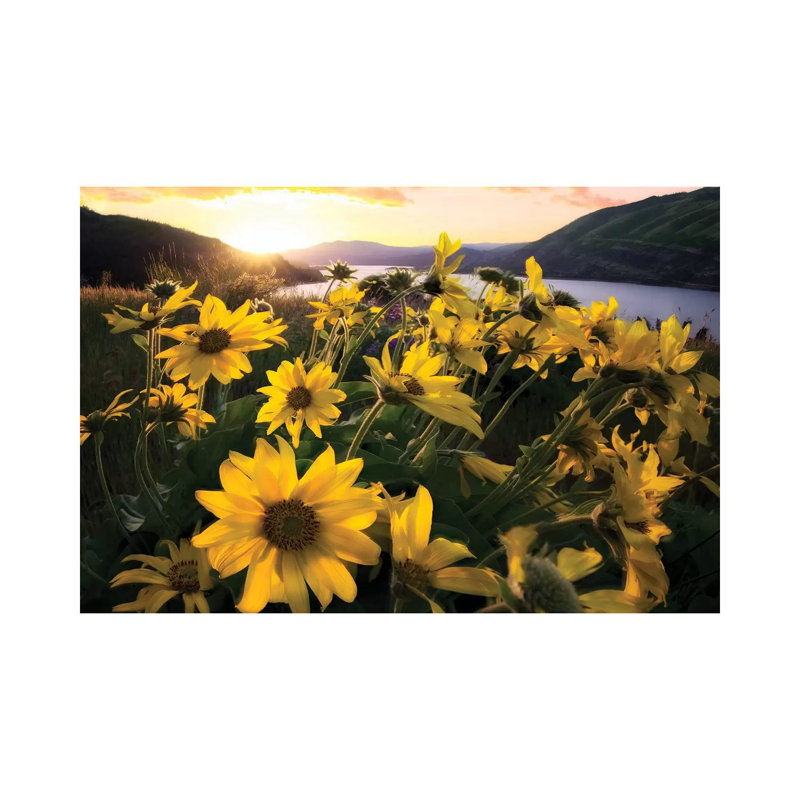 Columbia Flora by Dennis Frates - Print on Canvas, 66.04cm H x 101.6cm W x 3.81cm D, Wrapped Canvas