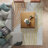 Performance Abstract Indoor Rug-1459292708
