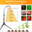Maker Network Grow Light