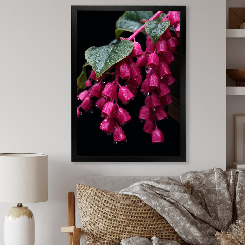 Colibri rose fuchsia I - art mural fuchsia, Cadre simple noir, H 40 po x l 30 po x P 1,5 po