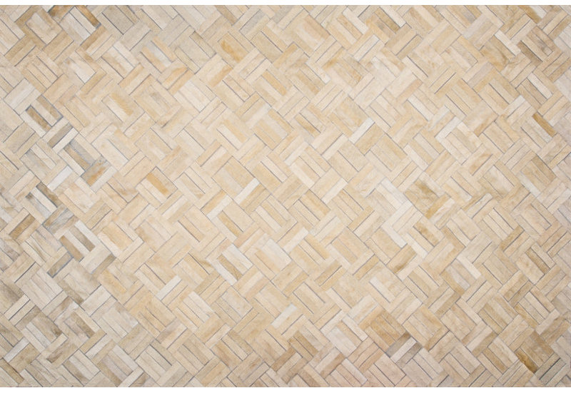 Art Hide Area Rug
