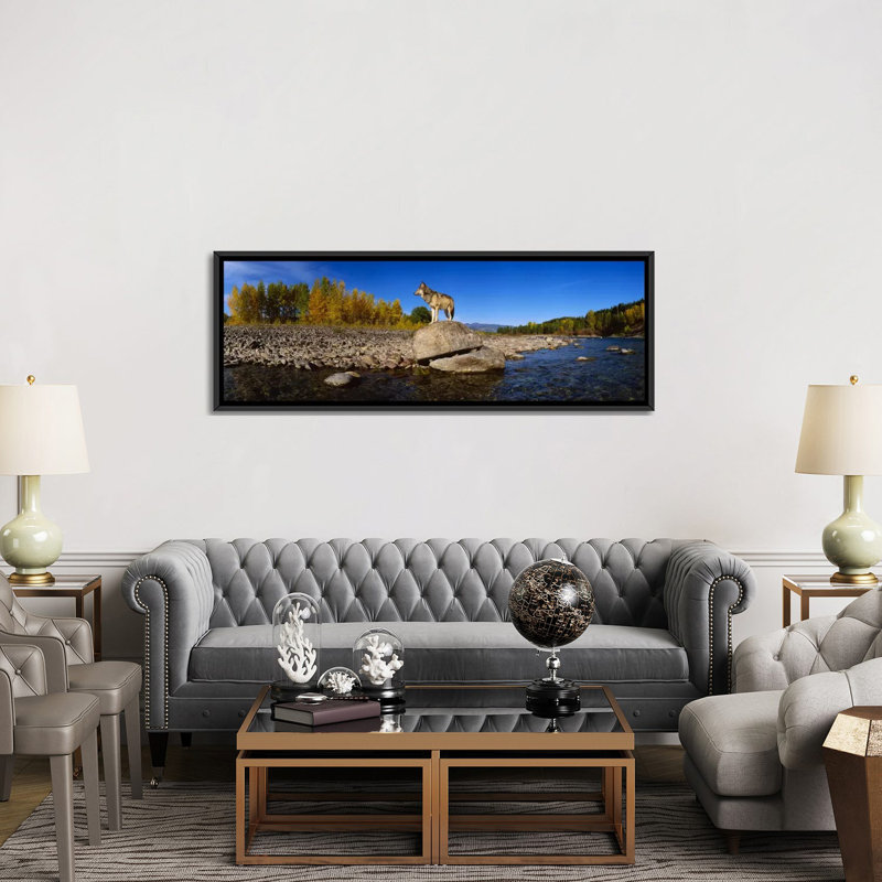 Loup panoramique debout sur un rocher au bord de la rivière, parc national du Glacier des États-Unis, Montana, reproduction de photo sur toile tendue