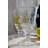 Absinthe 10.5 oz. Goblet Set