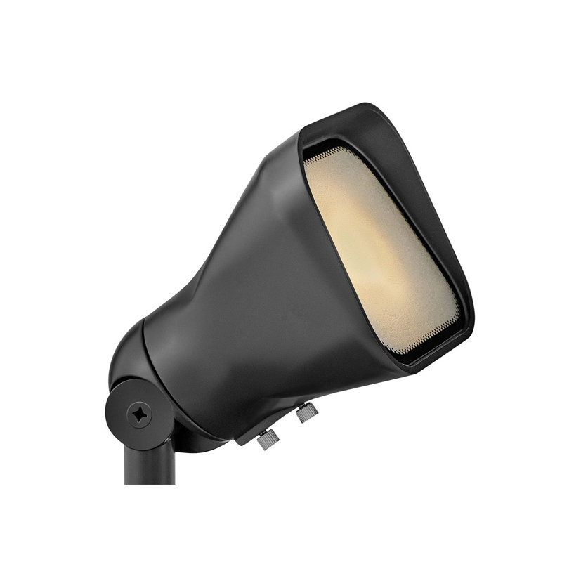 Hinkley Accent Flood Light MR16, Black