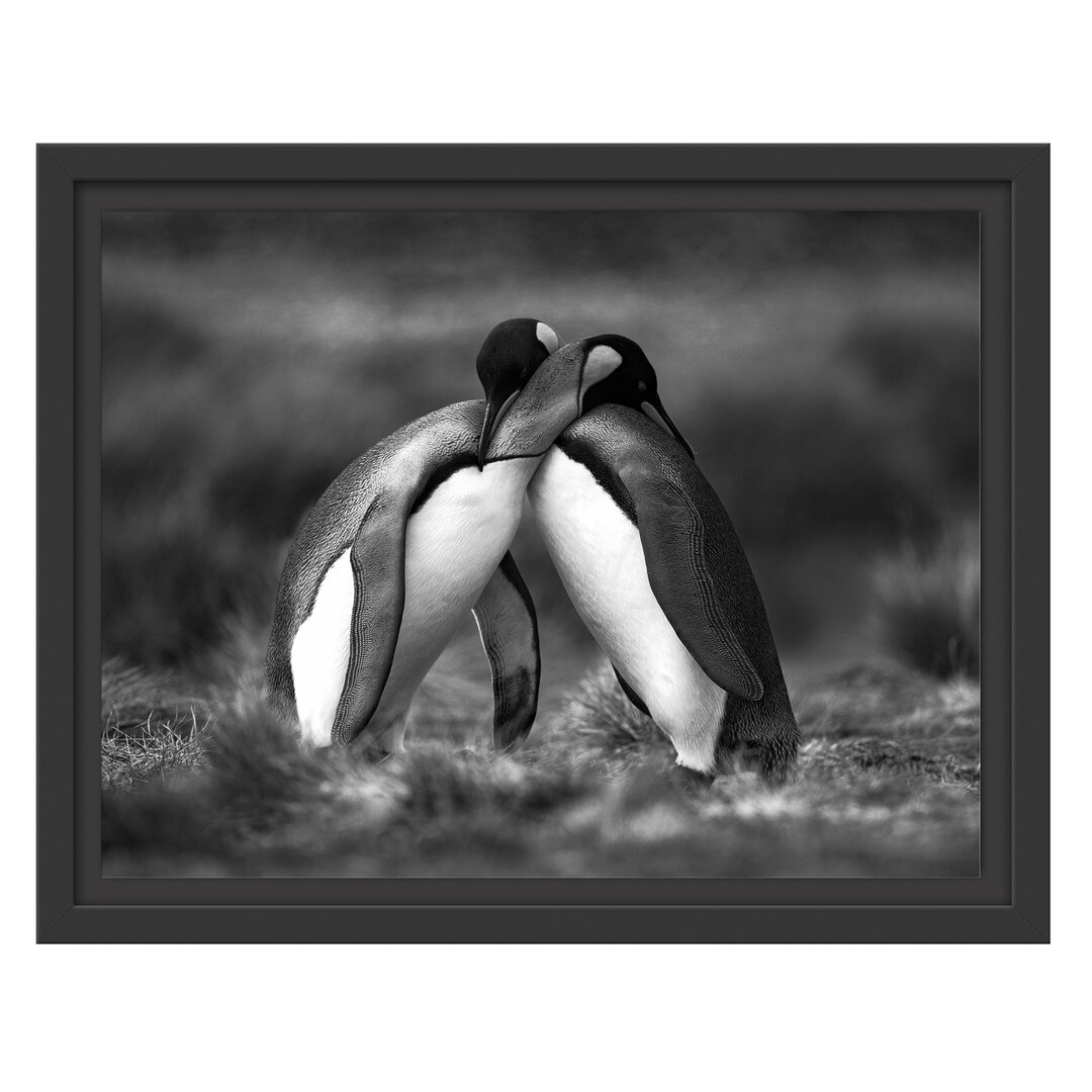 Gerahmtes Wandbild Pinguine in der Antarktis