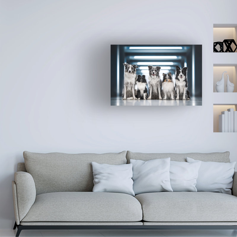 Art sur toile Natalie Grosse Aussie, H 12 po x l 19 po