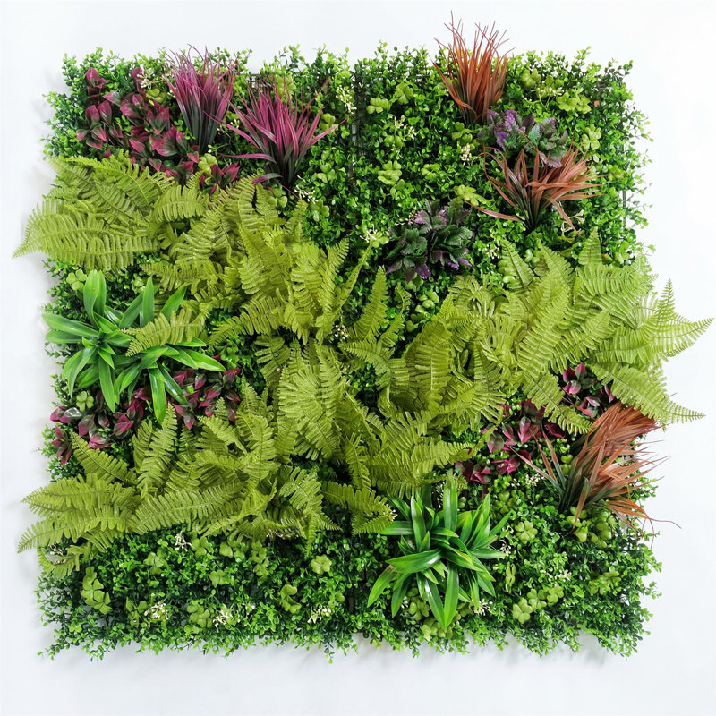 Greenwall 100 Plant