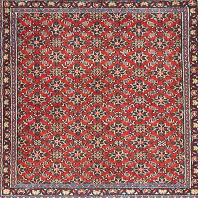 Indoor Rug