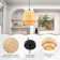 Algenis 1 - Light Brown LED Unique/Statement Pendant