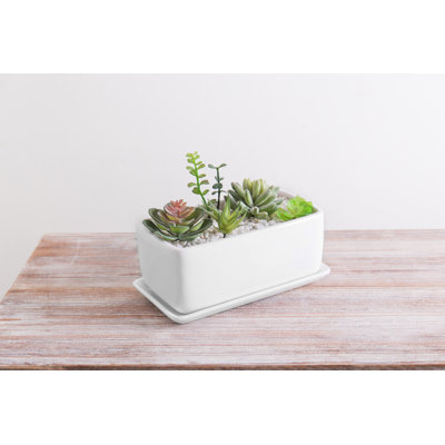Anielle Rectangular Ceramic Pot Planter