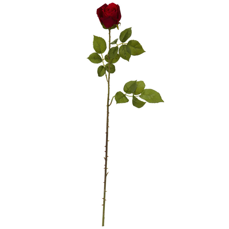 Roses Arrangement