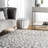 Ruiz Modern Leopard Print Performance Gray Rug-873626689
