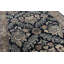 Wool Oriental Area Rug
