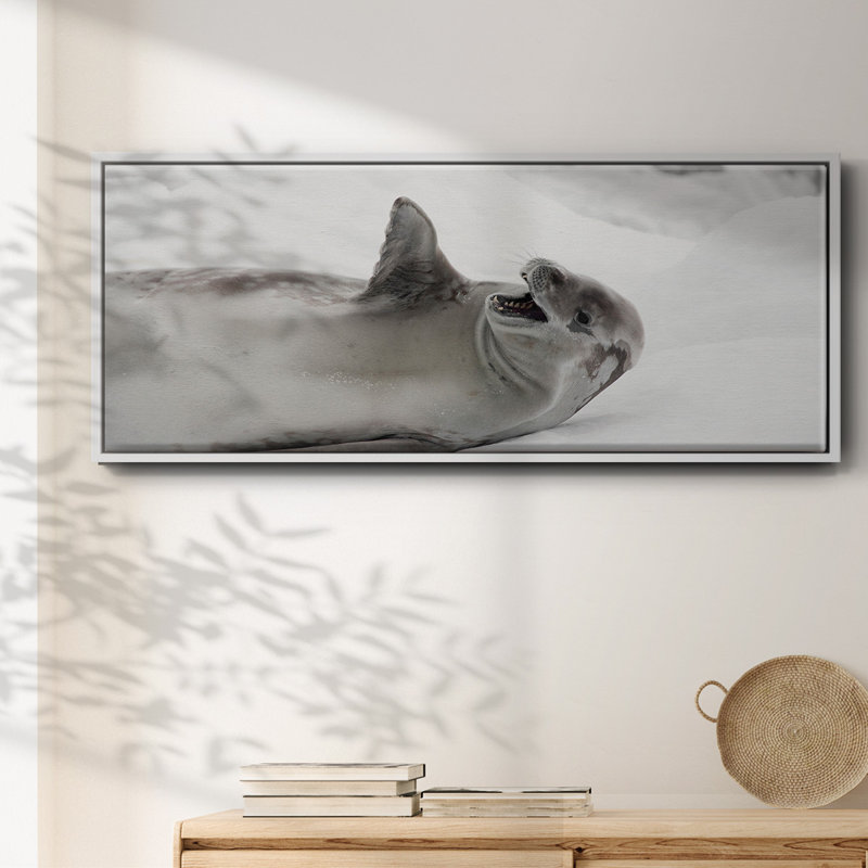 Laughing Seal- Framed Canvas, 8" H x 20" W