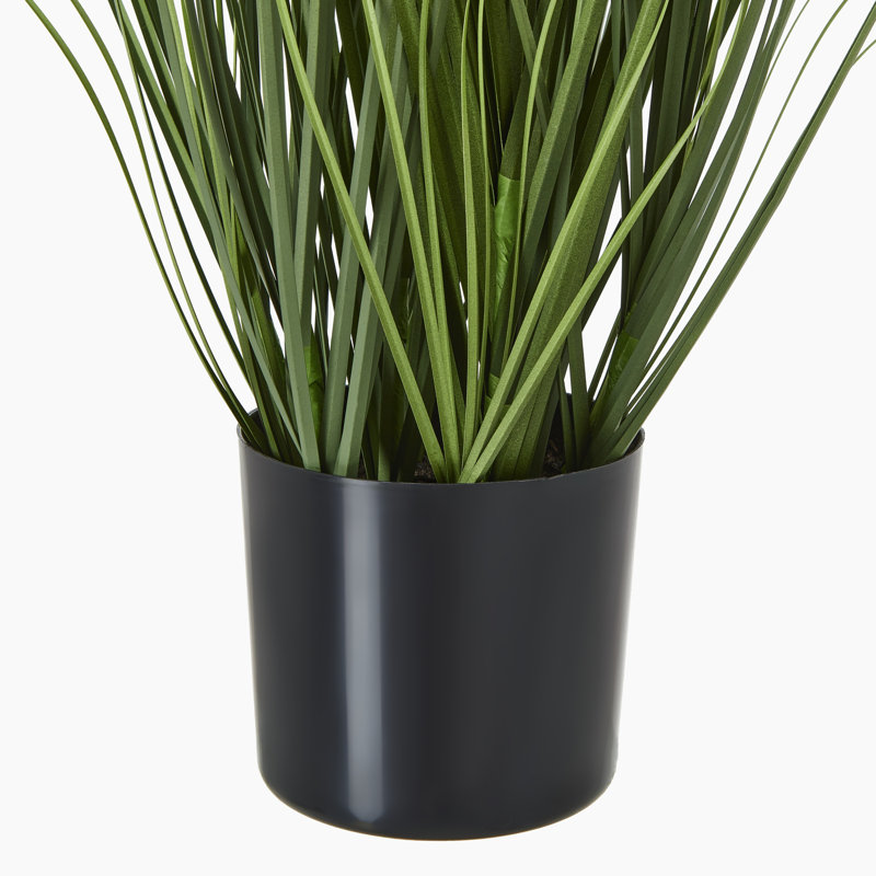 Andaiye 90cm Plant in Pot, Blue
