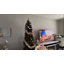 Arbre de Noël 9 pi, arbre à crayons artificiel, assemblage facile, décoration de Noël pour les fêtes à la maison-1720524119
