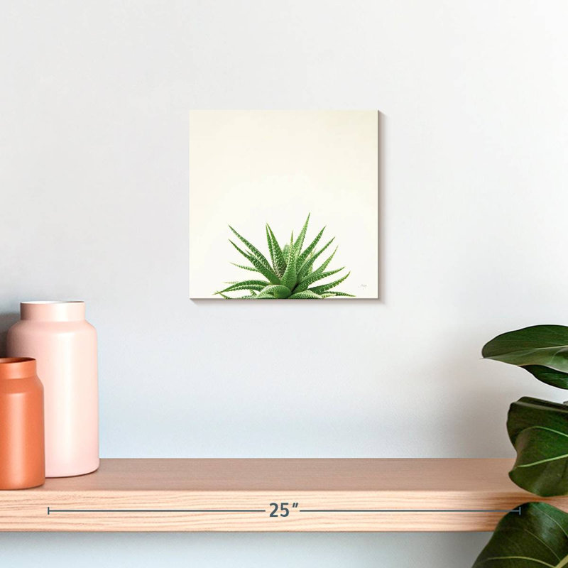 Harnek Succulent Simplicity Neutral II, H 10 po x l 10 po